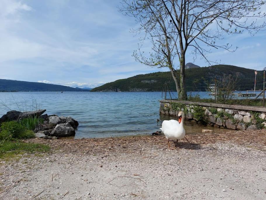 Charmant Et Spacieux Appartement A Quelques Pas Du Lac Дюeн Екстериор снимка
